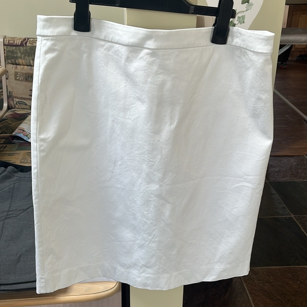 J. Crew Skirt